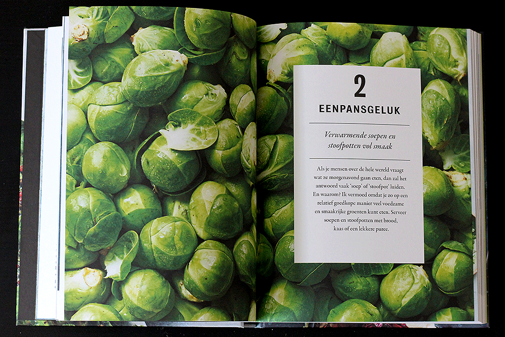Boekrecenise: Veggie in 30 minuten @ Lauriekoek.nl